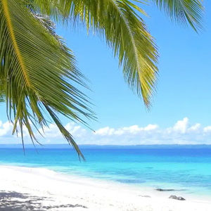 Meet your Posher, Elyssa